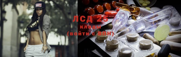 сатива Алексеевка