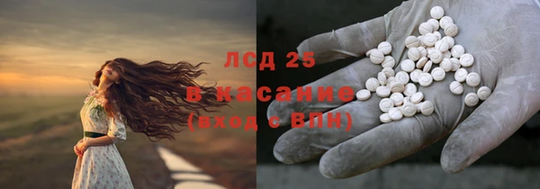 сатива Алексеевка